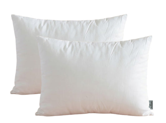 Pillow and Sham Insert