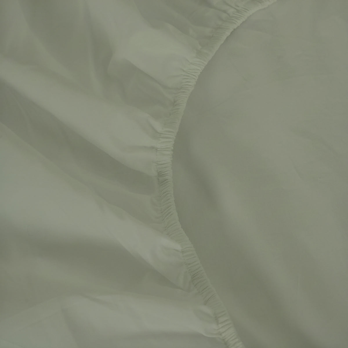 Organic Percale Fitted Sheet set
