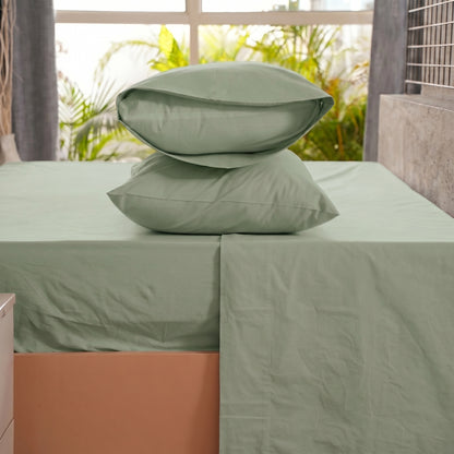 Organic Percale Shams